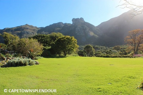 House Schoeman